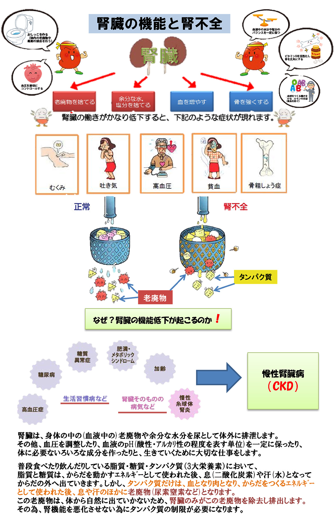 タンパク質制限