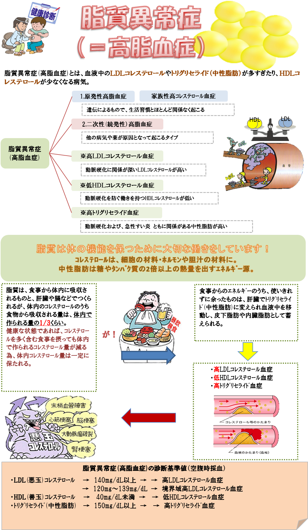 高脂血症1